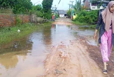 Lima Hari Terandam Banjir, 459 Jiwa di Tanah Mas Banyuasin Terancam Kelaparan 27