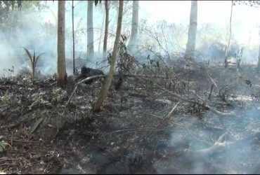 DPRD Sumsel Minta Dinas LHP Sumsel l Tindaklanjuti Informasi Swabakar Stockpile Servo Lintas Raya 27