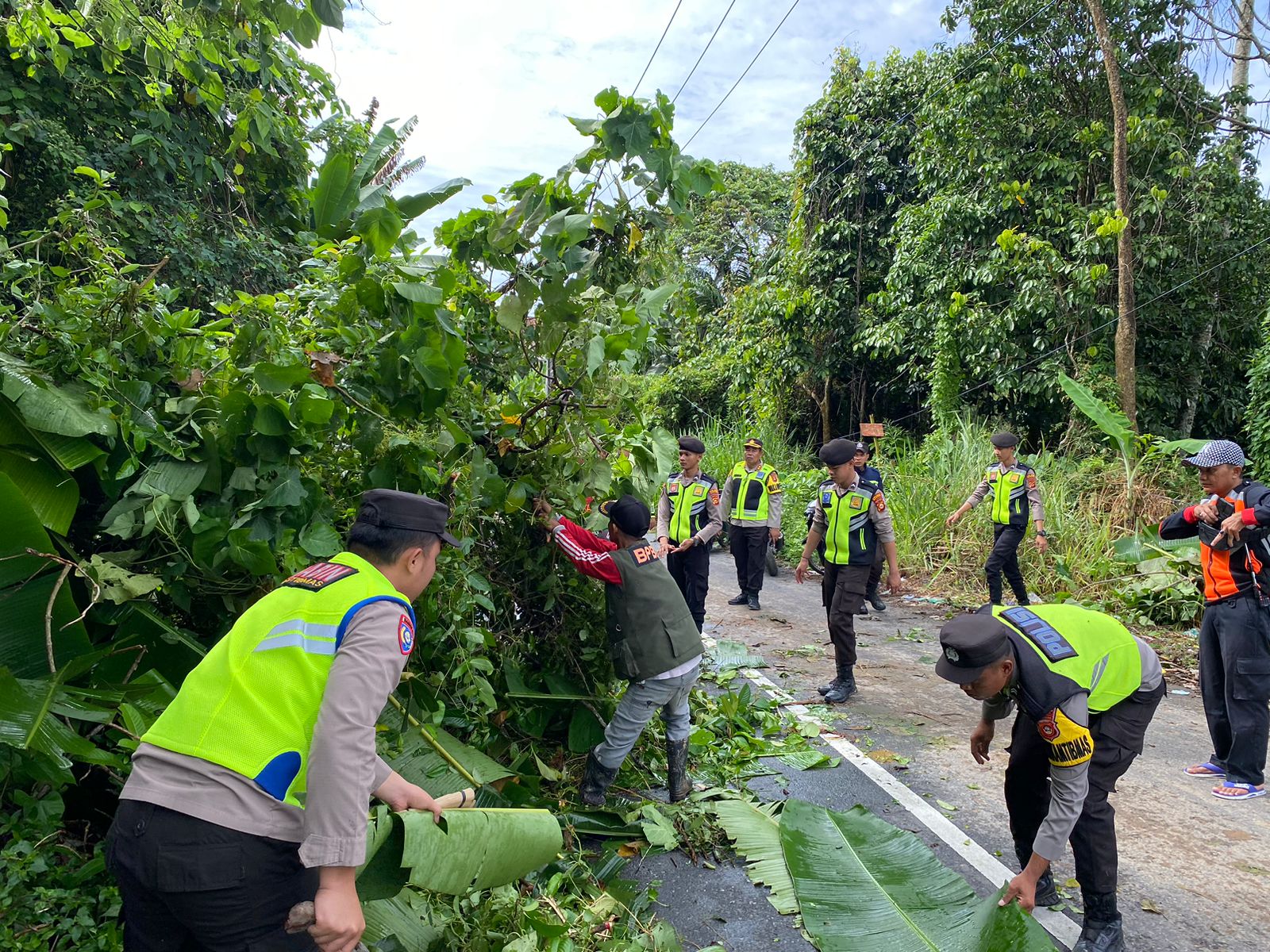 Wakapolres OKU Selatan Pimpin Evakuasi Pohon Tumbang 25