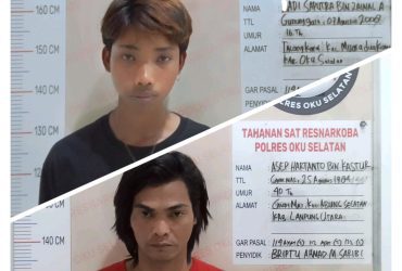 Gerak Cepat Sat Narkoba Polres OKU Selatan Amankan 1172 Geram Ganja dan Dua Pengedar 30